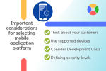 Custom Software Development