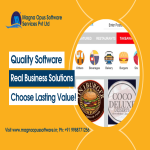Custom Software Development
